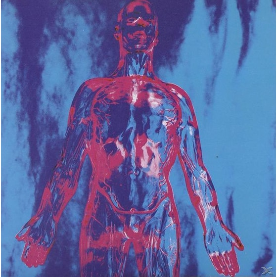 Sliver image 1