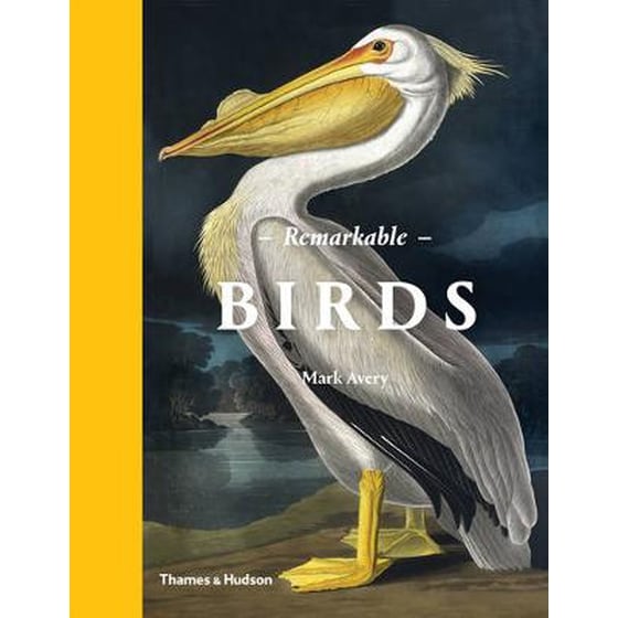 Remarkable Birds image 0