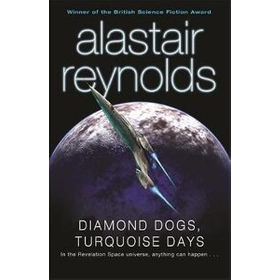 Diamond Dogs, Turquoise Days image 0