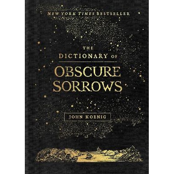Dictionary of Obscure Sorrows image 0