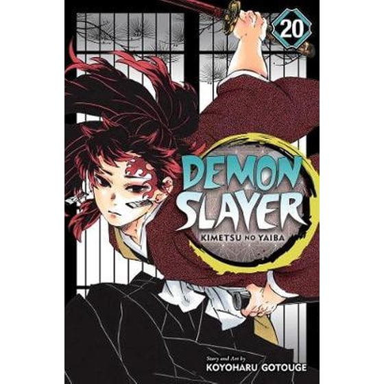 Demon Slayer: Kimetsu no Yaiba, Vol. 20 image 0