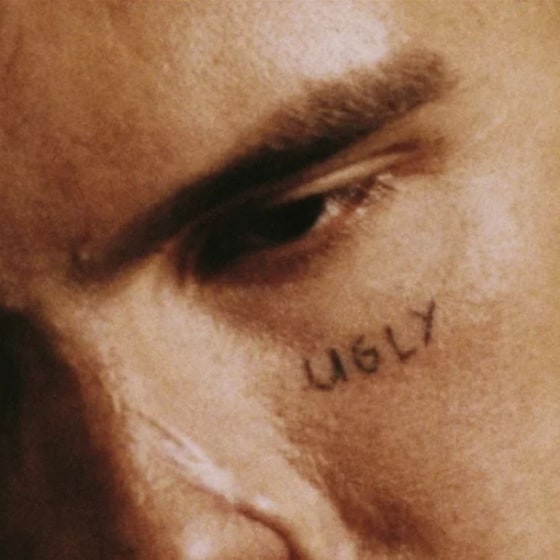 Ugly image 0
