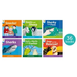 Oxford Reading Tree: Floppy's Phonics Decoding Practice: Oxford Level 3: Class Pack of 36
