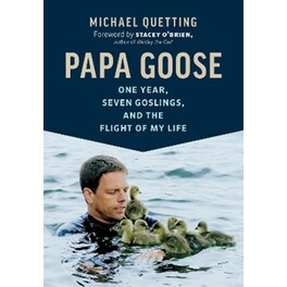 Papa Goose