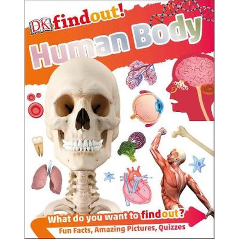 DKfindout! Human Body 1288009
