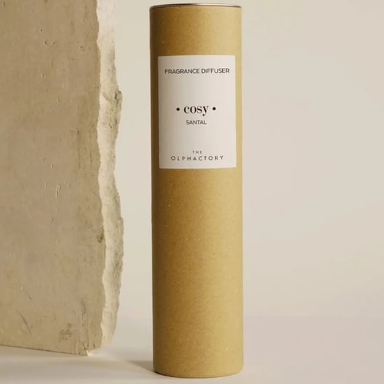 Diffuser Ambientair The Olphactory Santal 100ml - Cosy image 1