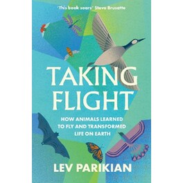 Taking Flight