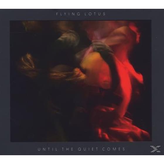 Until The Quiet Comes image 1