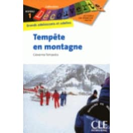 Tempete en Montagne
