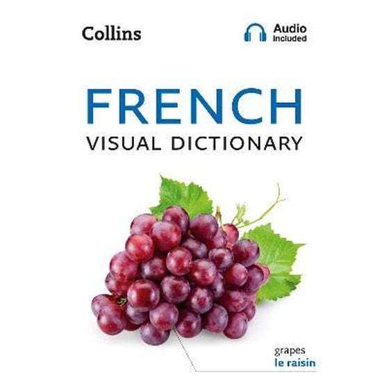 French Visual Dictionary image 0