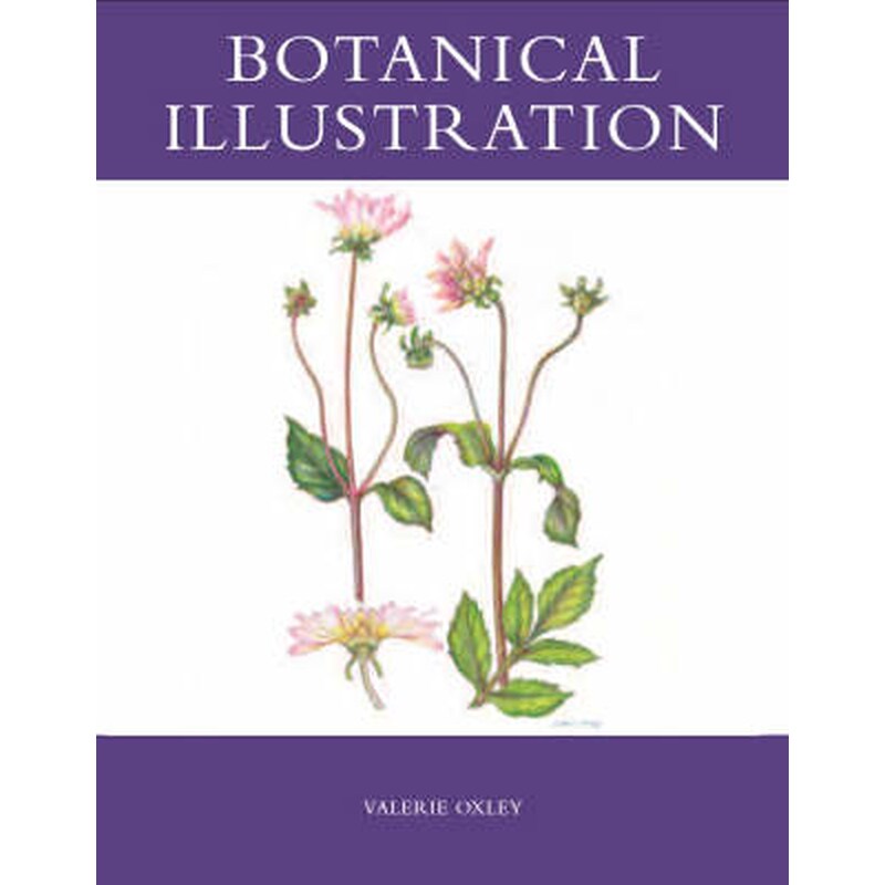 Botanical Illustration