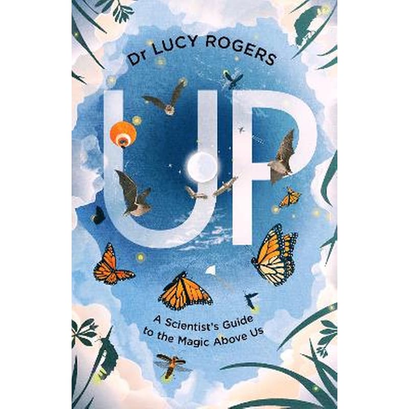 Up (Hardback)