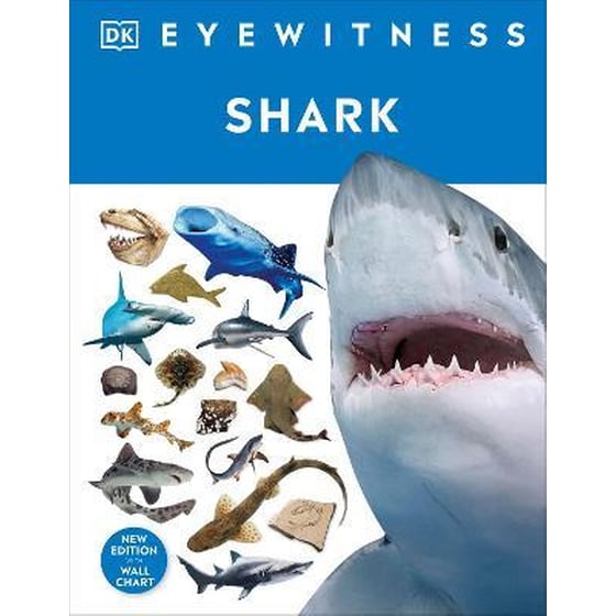 Shark image 0