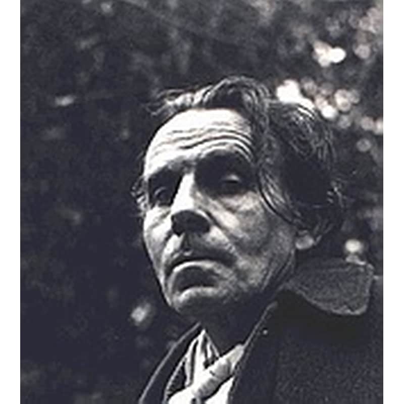 Author picture