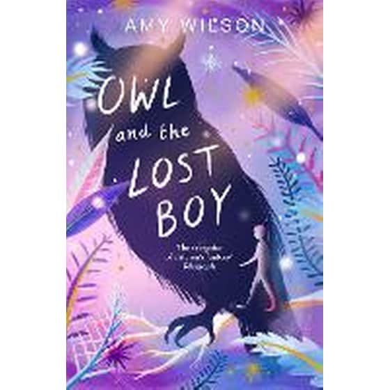 Owl and the Lost Boy image 0