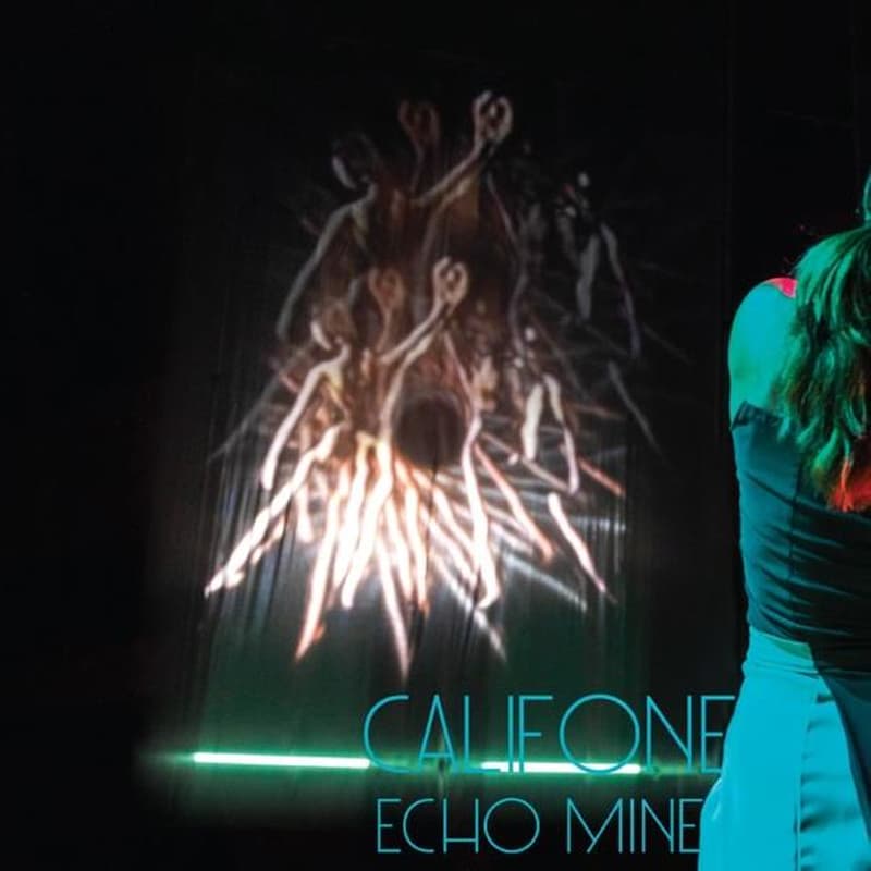 Echo Mine