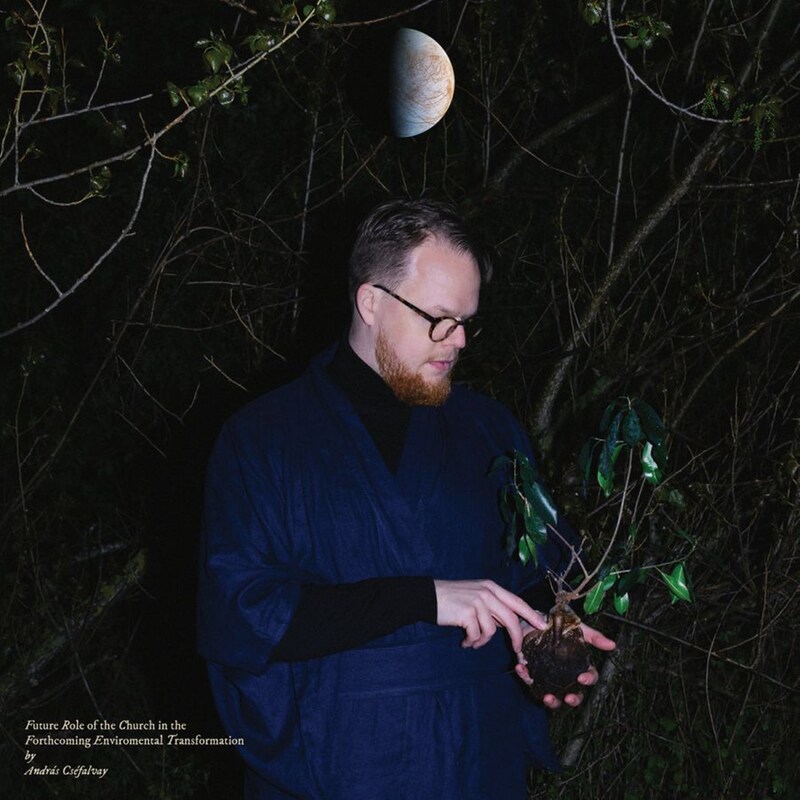 Future Role Of The Church In The Forthcoming Environmental Transformation (LP)