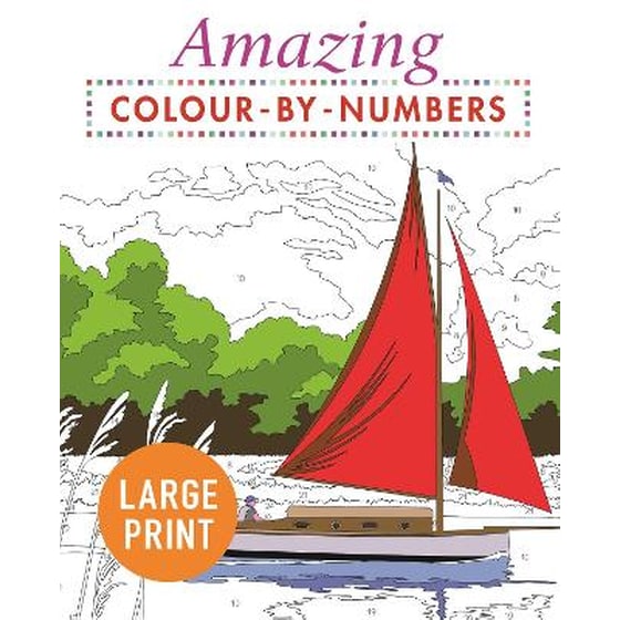Amazing Colour-by-Numbers Large Print image 0
