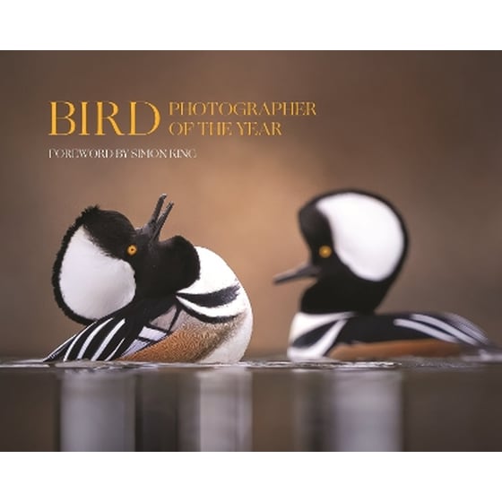 Bird Photographer of the Year image 0