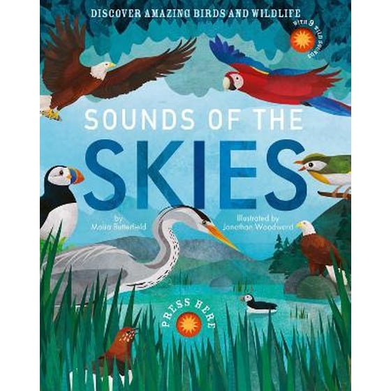 Sounds of the Skies image 0