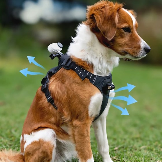Βάση Στήριξης για Action Camera Insta360 GO3/3S Pet Harness S - Μαύρο image 5