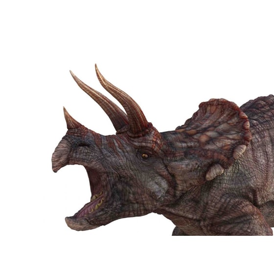 Picture Viewer Με Δεινόσαυρους Natural History Museum image 4