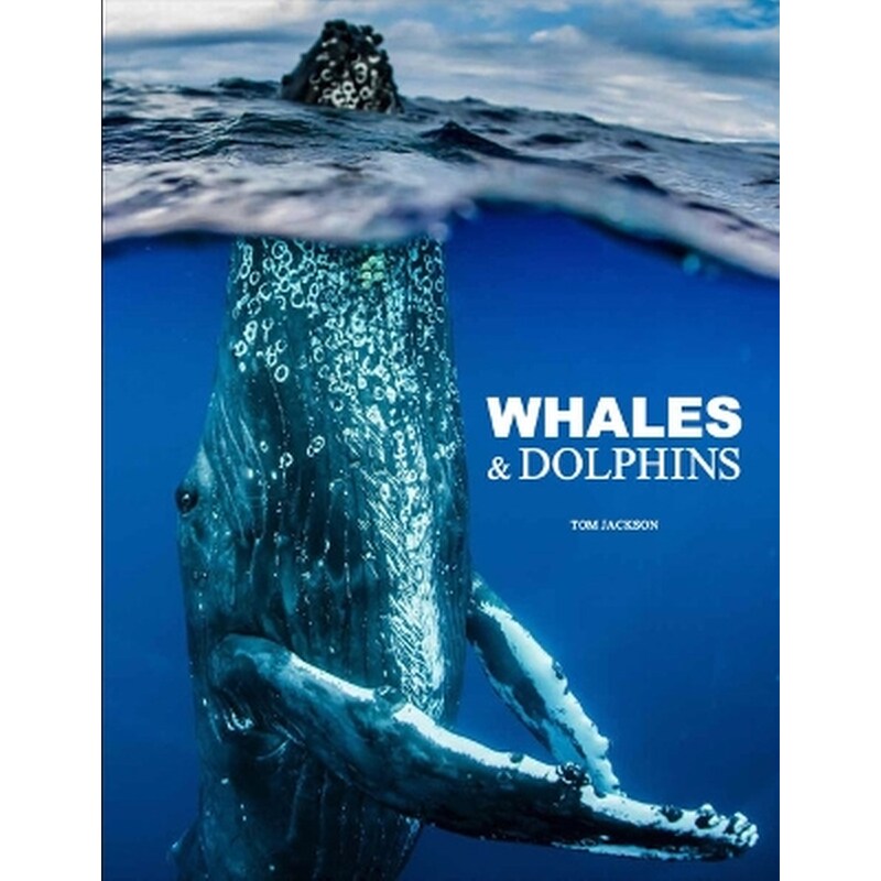 Whales Dolphins