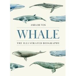Whale