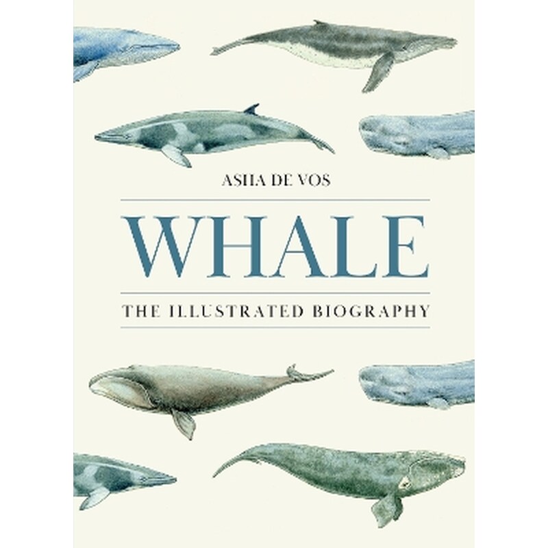 Whale
