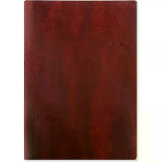 Ημερολόγιο Ημερήσιο Letts 2026 Eng. Α4 Lecassa Καφέ image 0