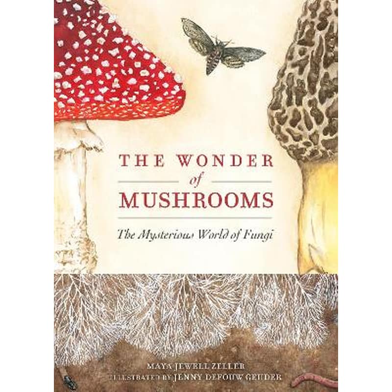 The Wonder of Mushrooms
