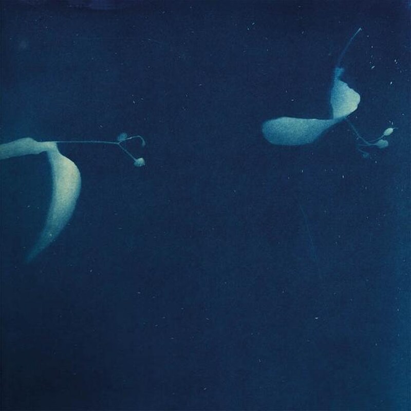 As If (LP)