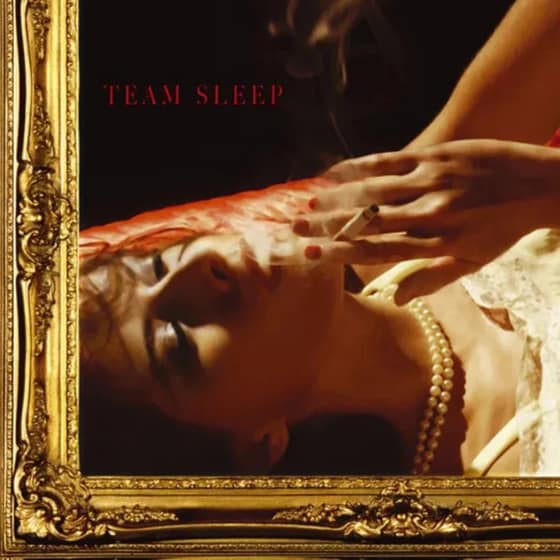 Team Sleep (Black Vinyl) image 0