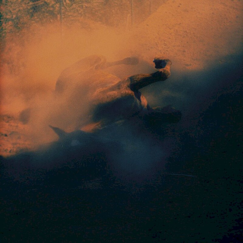 Plastic Borough (LP)