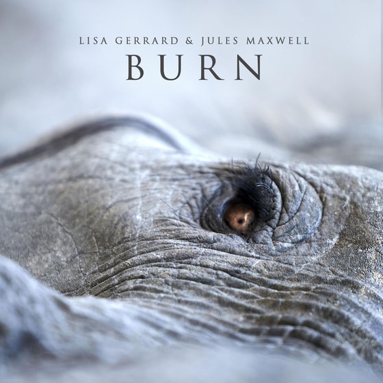Burn image 0