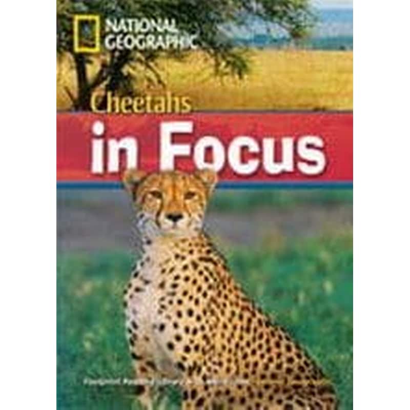 Cheetahs in Focus (Book with Multi-ROM)