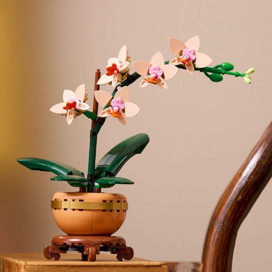 LEGO® Botanicals Mini Orchid (10343) image 11