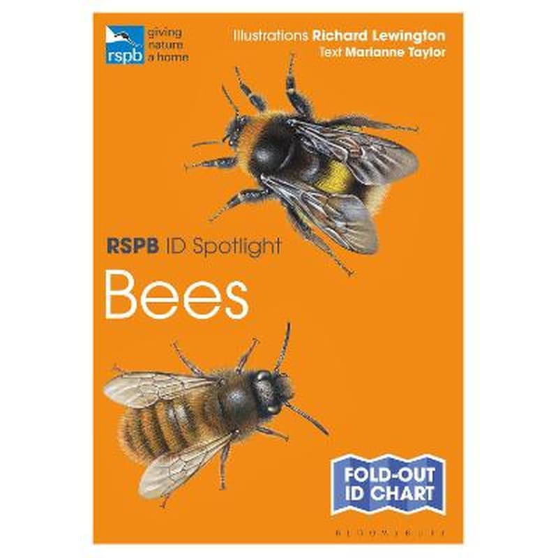 RSPB ID Spotlight - Bees