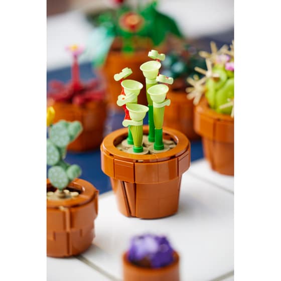 LEGO® Icons Tiny Plants (10329) image 19