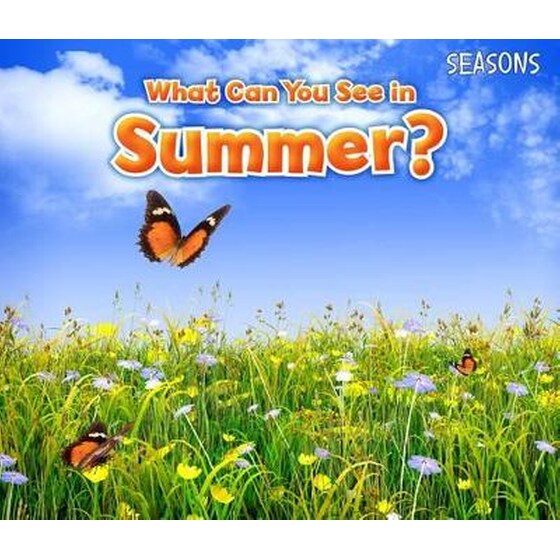 What Can You See In Summer? image 0