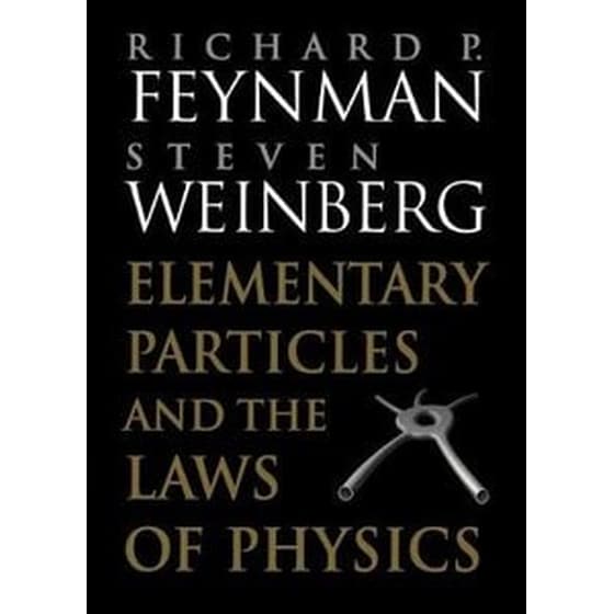 Elementary Particles and the Laws of Physics image 0
