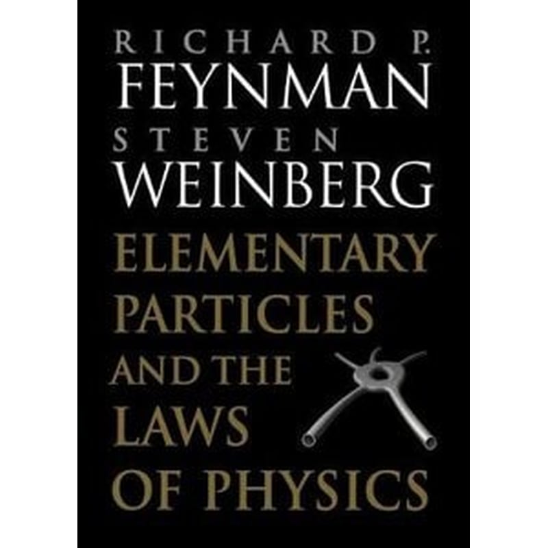Elementary Particles and the Laws of Physics