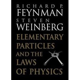 Elementary Particles and the Laws of Physics