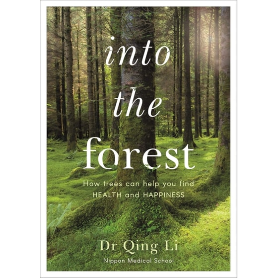 Into the Forest image 0