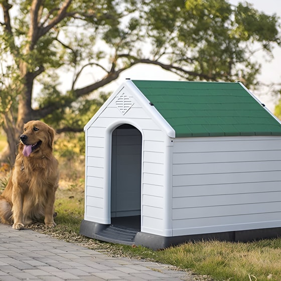 Σπιτάκι Vesta Για Μεγάλο Σκύλο No M - Λευκό/Πράσινο image 1