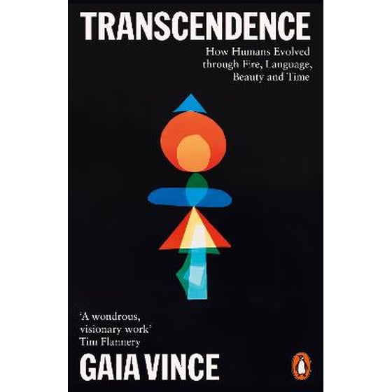 Transcendence image 0