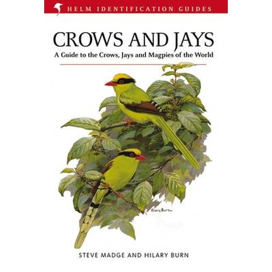 Crows and Jays image 0