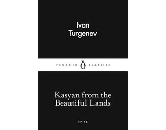 Kasyan from the Beautiful Lands image 0