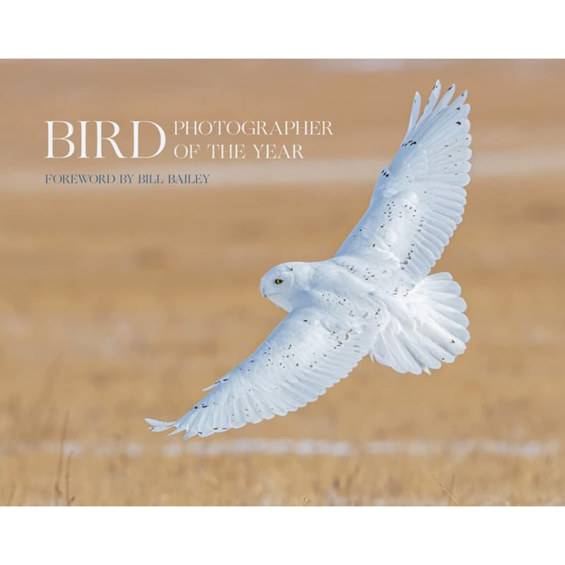 Bird Photographer of the Year