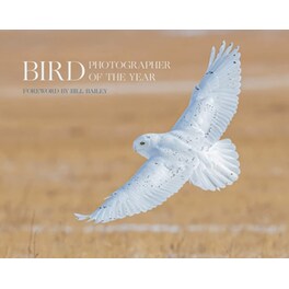 Bird Photographer of the Year